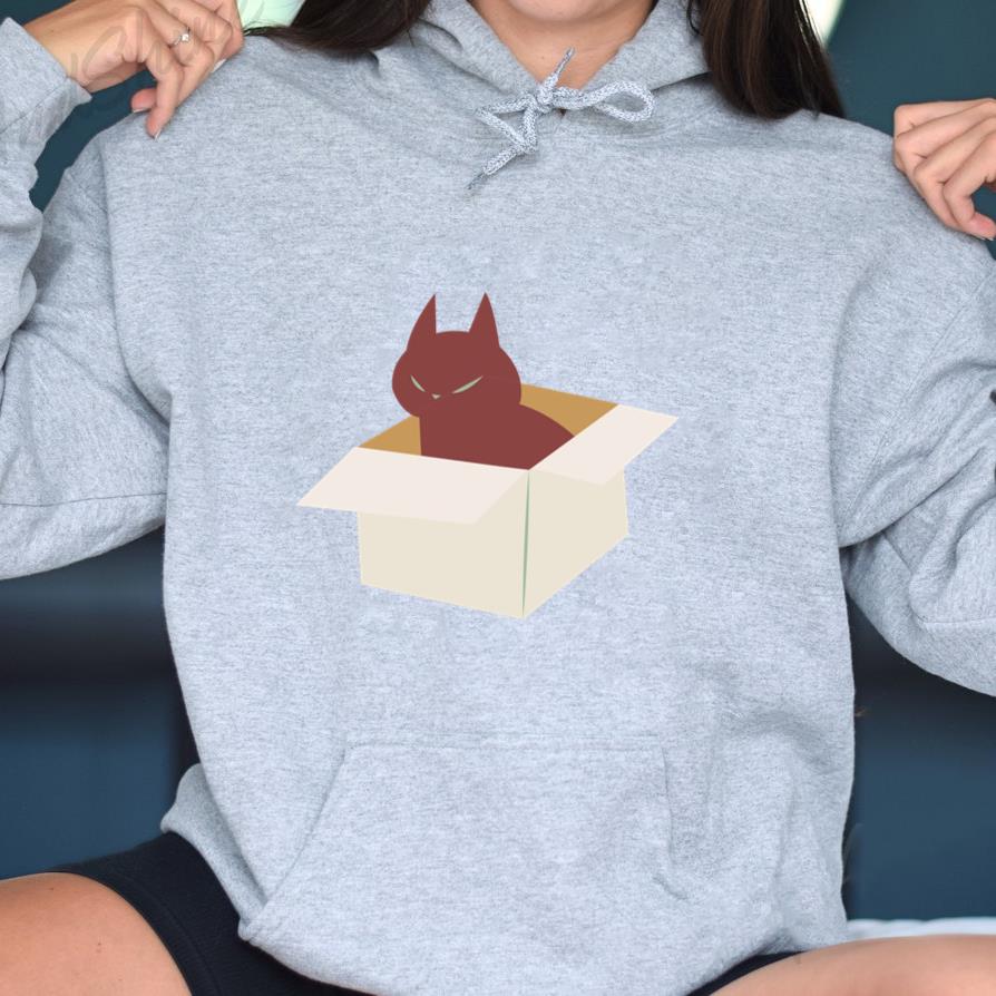 Cat Flat In A Box Hoodie